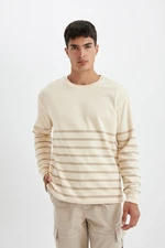 DEFACTO Men's Beige Comfort Fit Crew Neck Striped Thick Fabric Sweatshirt