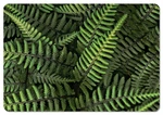 Bertoni Home Unisex's Rectangular Table Pad Ferns