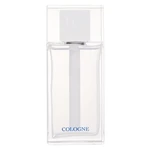 Christian Dior Homme (2013) 125ml