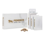 FEMINUS Prírodný multivitamín pre ženy 60 tabliet