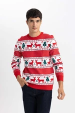 DEFACTO New Year's Themed Standard Fit Patterned Crew Neck Sweater