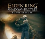 ELDEN RING - Shadow of the Erdtree Pre-Order Bonus DLC EU PS5 CD Key