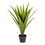 Sztuczna roślina (wysokość 80 cm) Yucca – Kave Home