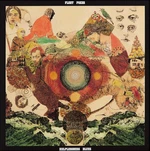 Fleet Foxes - Helplessness Blues (2 LP)