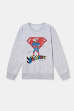 Dagi Gray Sweatshirt