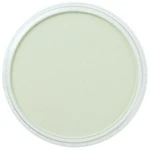 PanPastel 9ml – 660.8 Chromium Oxide Green Tint