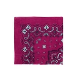 Art Of Polo Kids's Bandanna sz13914-25