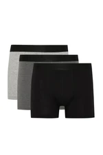 DEFACTO Regular Fit 3-pack Boxer