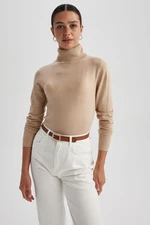 DEFACTO Regular Fit Turtleneck Basic Knitwear Sweater