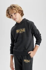 DEFACTO Boy's Printed Hooded Thick Sweatshirt