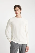 DEFACTO Men's Beige Standard Fit Regular Cut Crew Neck Textured Knitwear Sweater