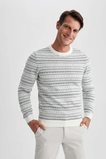 DEFACTO Standard Fit Regular Cut Patterned Crew Neck Knitwear Sweater