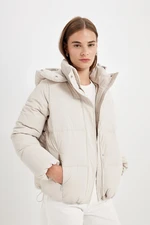 DEFACTO Water Repellent Oversize Wide Mold Hooded Zipper Snap Closure Puffer Puffer Jacket