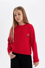 DEFACTO Girl's Claret Red Standard Fit Crew Neck Knitwear Sweater