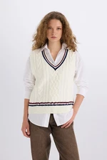 DEFACTO Regular Fit V Neck Hair Knit Patterned Knitwear Sweater