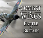 Combat Wings: Battle of Britain US Steam CD Key