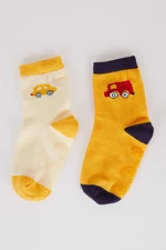 DEFACTO 2 piece Long sock