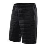 Man quick-drying shorts ALPINE PRO HAK 2 black