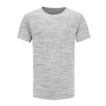 Men's quick-drying T-shirt ALPINE PRO VIAR dk.true gray