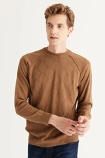 ALTINYILDIZ CLASSICS Men's Mink Standard Fit Normal Cut Crew Neck Jacquard Knitwear Sweater.