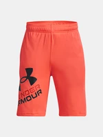 Under Armour Kraťasy UA Prototype 2.0 Logo Shorts-ORG - Kluci