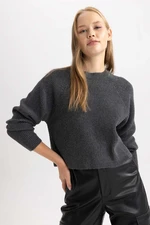 DEFACTO Coool Regular Fit Crew Neck Sweater