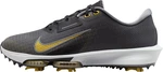 Nike Air Zoom Infinity Tour Next 2 Unisex Black/Cool Grey/Pure 46 Chaussures de golf pour hommes