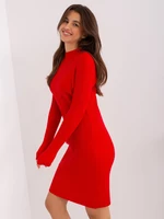 Red ribbed knee-length knit dress