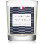 Tommy Hilfiger Home Collection Spicy Cedar Sviečka 180 g