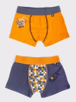 Yoclub Kids's 2Pack Boy's Boxer Briefs BMB-0014C-AA30