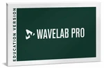 Steinberg Wavelab Pro 12