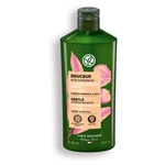 YVES ROCHER Jemný šampón s bio gaštanovým mliekom 300 ml