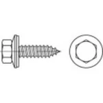 Vruty na dřevěné fasády 6.5 mm 38 mm nerezová ocel 400 ks TOOLCRAFT 1069990