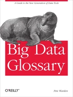 Big Data Glossary