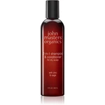 John Masters Organics Scalp 2 in 1 Shampoo with Zinc & Sage šampón a kondicionér 2 v1