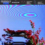 Friendly Fires – Inflorescent CD