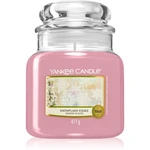 Yankee Candle Snowflake Kisses vonná svíčka 411 g