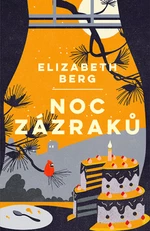 Noc zázraků - Elisabeth Berg - e-kniha