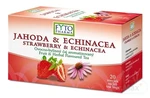 FYTO JAHODA & ECHINACEA