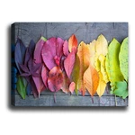 Obraz Tablo Center Gradient Leaves, 70 × 50 cm