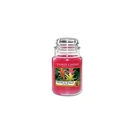 Vonná sviečka Yankee Candle Tropical Jungle, doba horenia 110 h