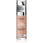 L’Oréal Paris True Match tekutý make-up odstín 2R2C2K 30 ml