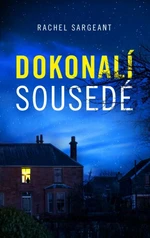 Dokonalí sousedé - Rachel Sargeant - e-kniha