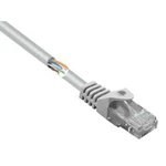 Síťový kabel RJ45 Basetech BT-2268240, CAT 5e, U/UTP, 25.00 cm, šedá