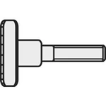 Šrouby s rýhovanou hlavou TOOLCRAFT, DIN 464, M5 x 16, 10 ks