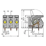 Pružinová svorkovnice WAGO 2706-260, 6.00 mm², Pólů 10, šedá, 10 ks