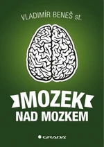 Mozek nad mozkem - Beneš st. Vladimír - e-kniha