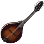 The Loar LM-110 Brownburst Mandolină