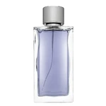 Abercrombie & Fitch First Instinct toaletní voda pro muže 100 ml