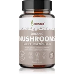 Blendea Mushrooms BIO kapsuly na udržanie vitality 60 cps